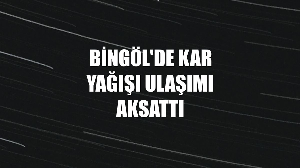 Bingöl'de kar yağışı ulaşımı aksattı