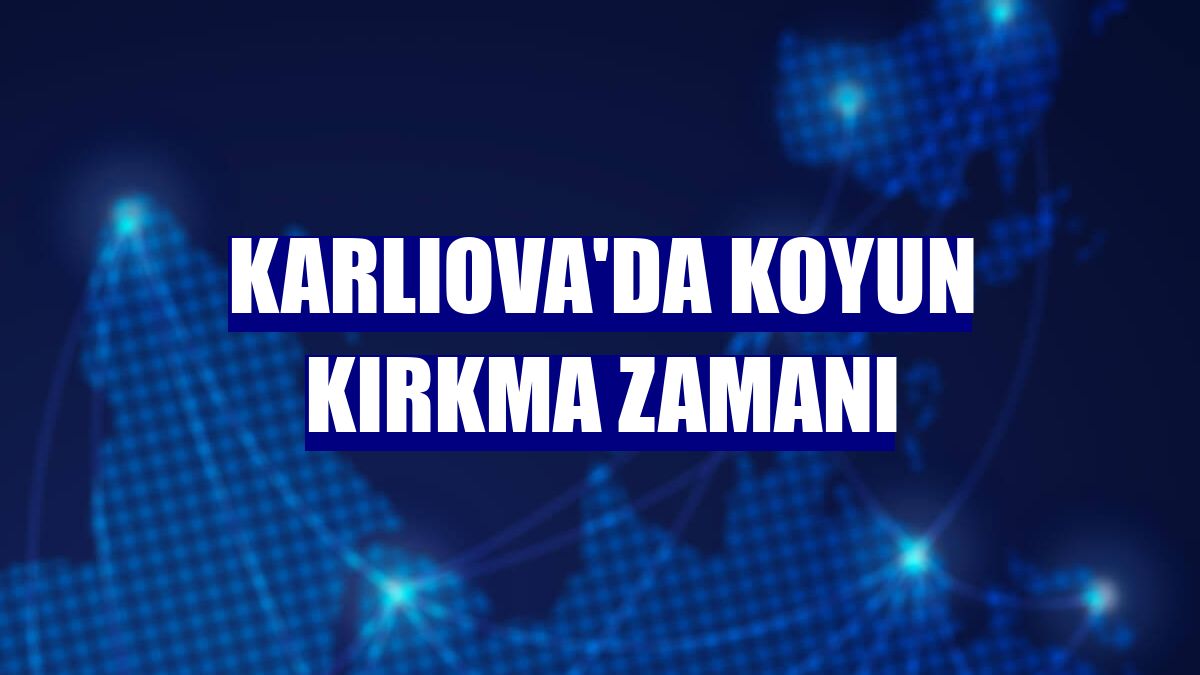 Karlıova'da koyun kırkma zamanı