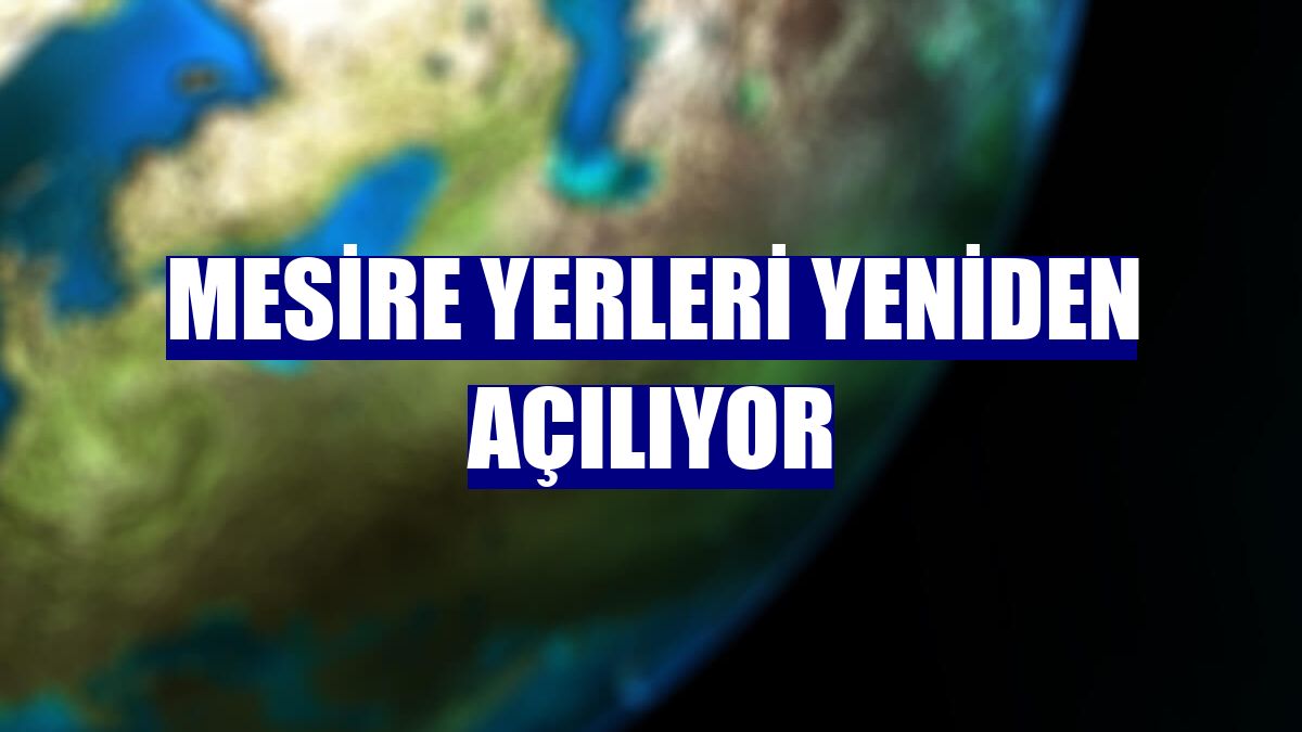 Mesire yerleri yeniden açılıyor