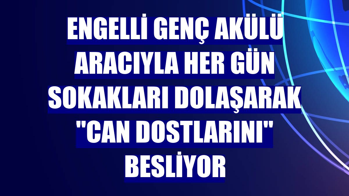 Engelli genç akülü aracıyla her gün sokakları dolaşarak "can dostlarını" besliyor
