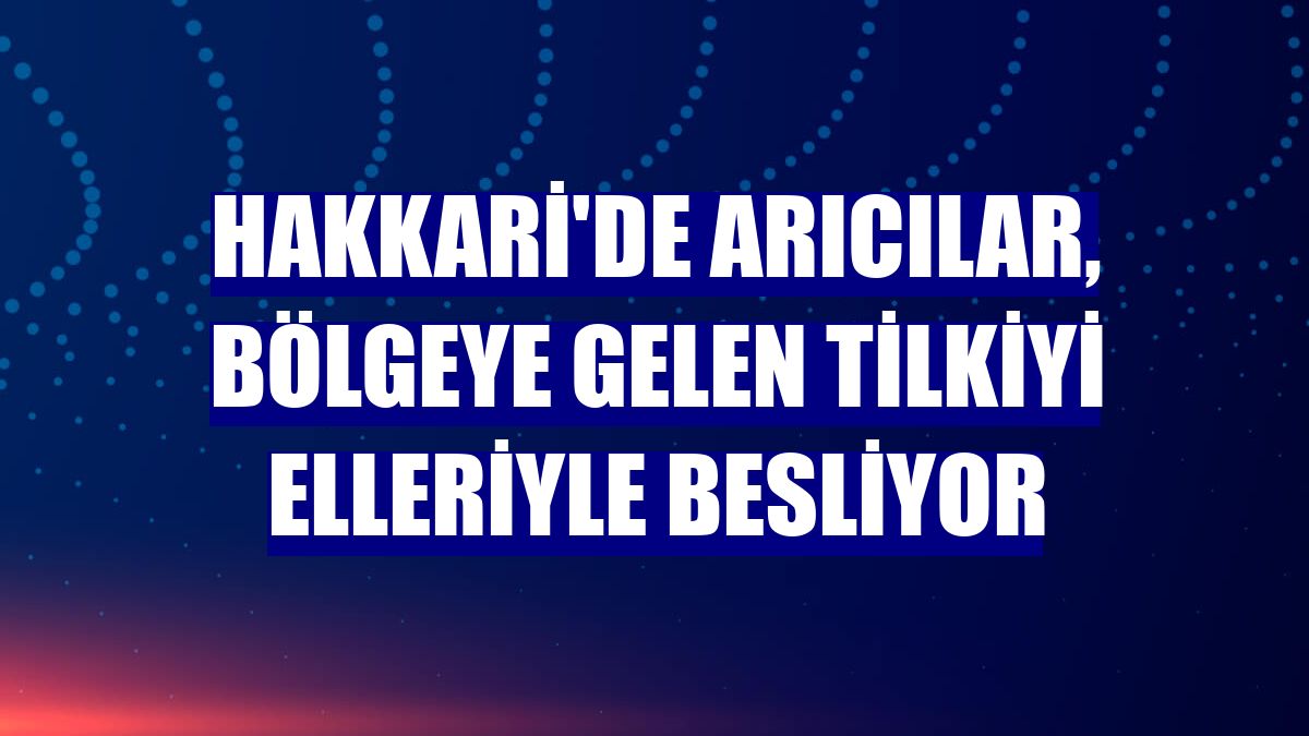 Hakkari'de arıcılar, bölgeye gelen tilkiyi elleriyle besliyor