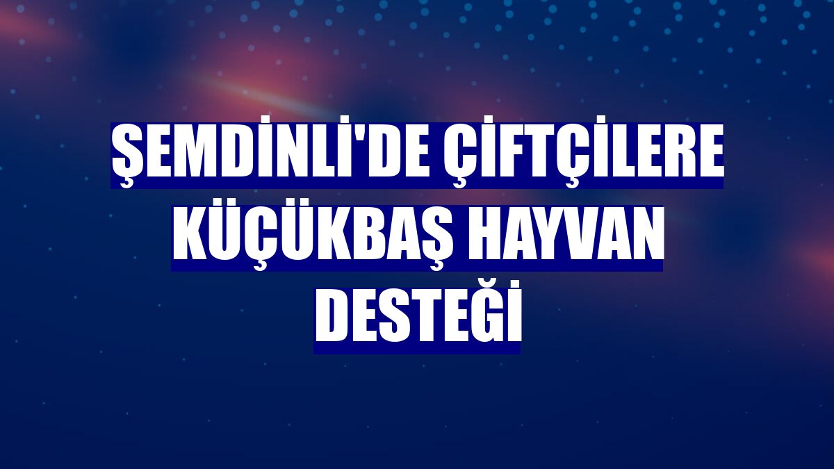 Şemdinli'de çiftçilere küçükbaş hayvan desteği