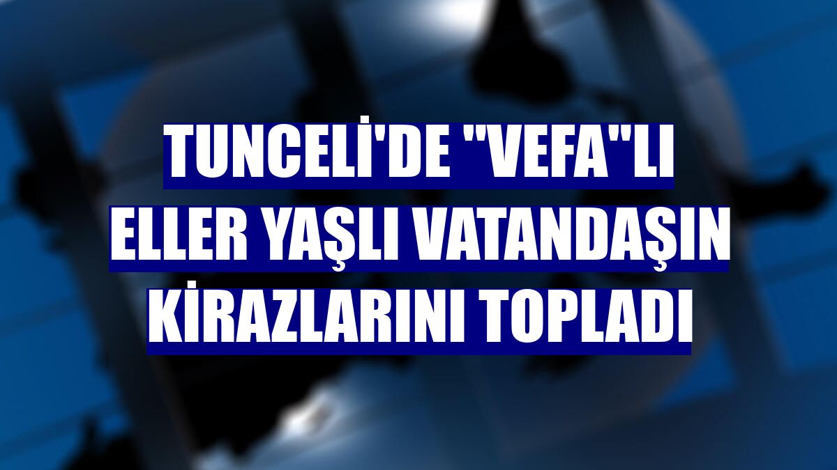 Tunceli'de "Vefa"lı eller yaşlı vatandaşın kirazlarını topladı
