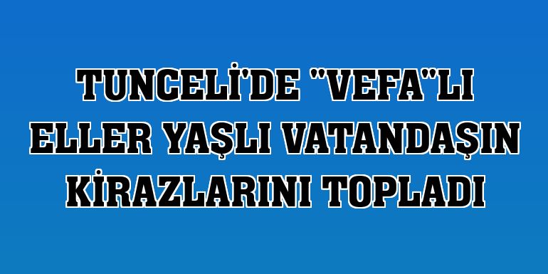 Tunceli'de 'Vefa'lı eller yaşlı vatandaşın kirazlarını topladı