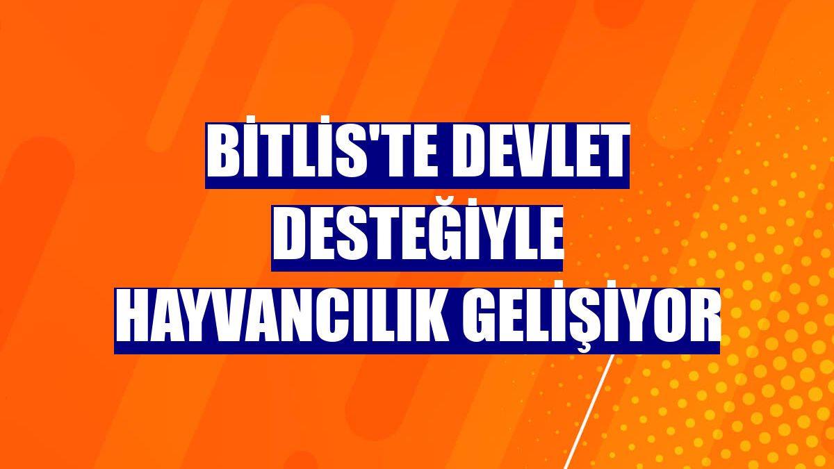 Bitlis'te devlet desteğiyle hayvancılık gelişiyor