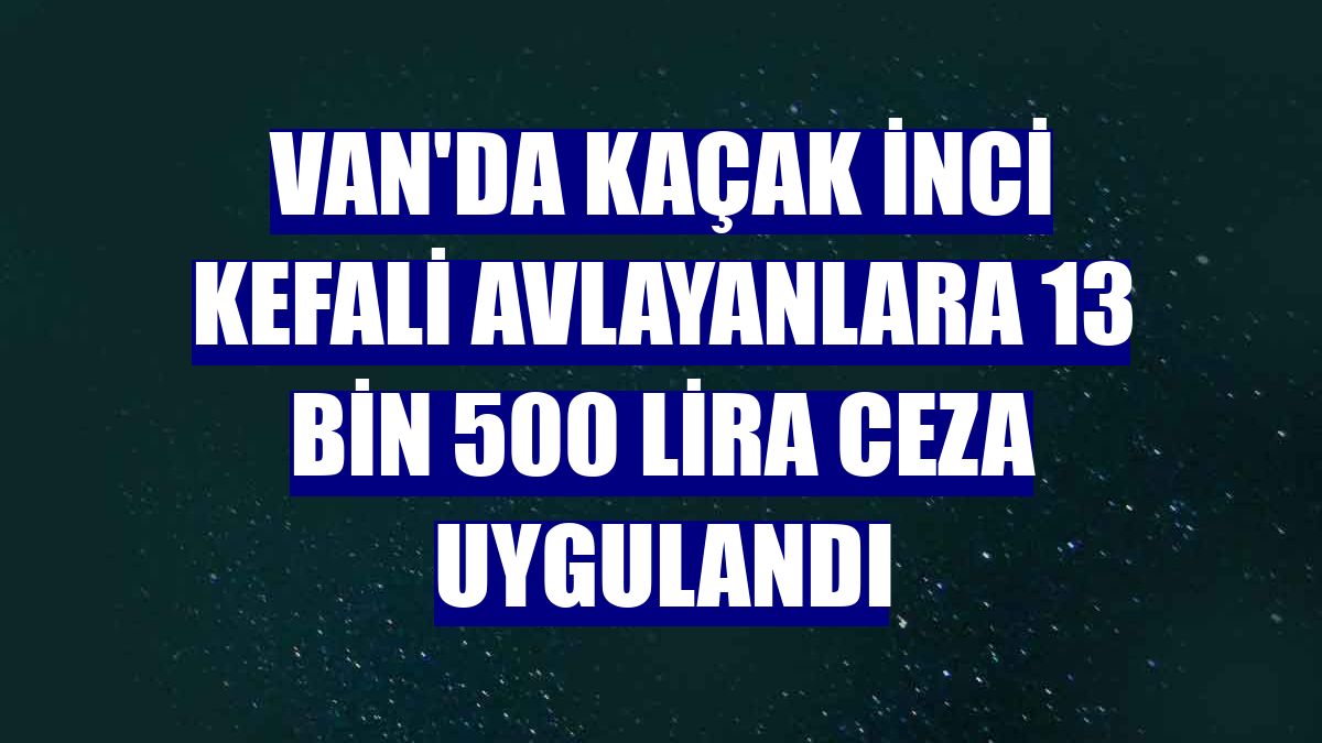 Van'da kaçak inci kefali avlayanlara 13 bin 500 lira ceza uygulandı