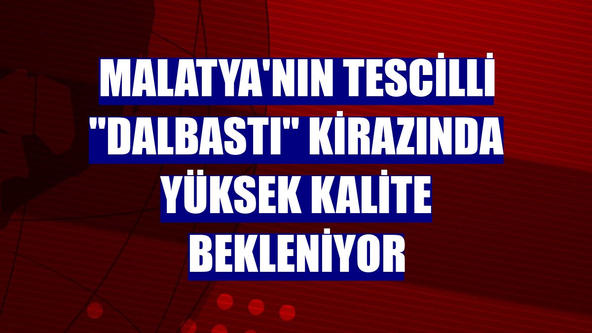Malatya'nın tescilli "dalbastı" kirazında yüksek kalite bekleniyor