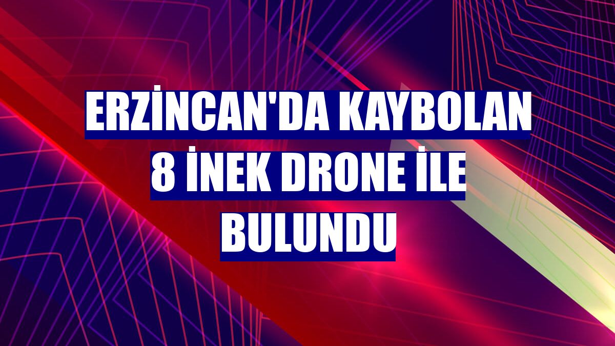 Erzincan'da kaybolan 8 inek drone ile bulundu
