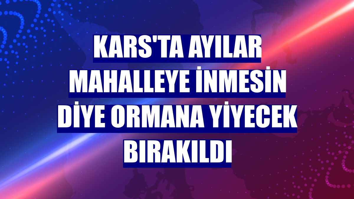 Kars'ta ayılar mahalleye inmesin diye ormana yiyecek bırakıldı