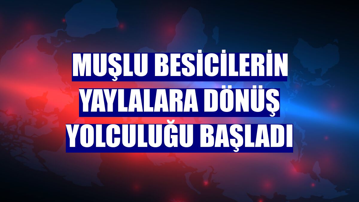 Muşlu besicilerin yaylalara dönüş yolculuğu başladı