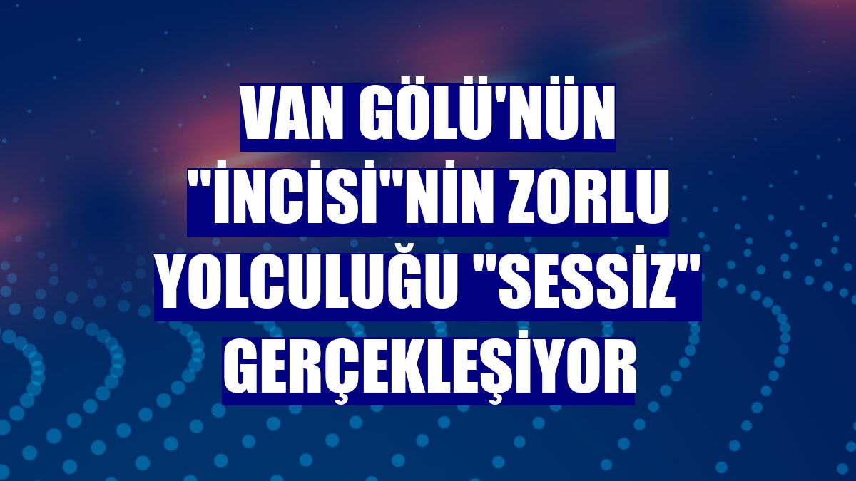 Van Gölü'nün "incisi"nin zorlu yolculuğu "sessiz" gerçekleşiyor