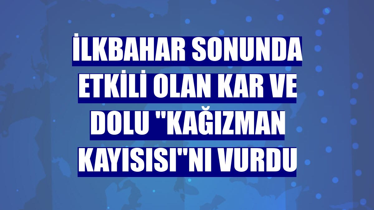 İlkbahar sonunda etkili olan kar ve dolu "Kağızman kayısısı"nı vurdu