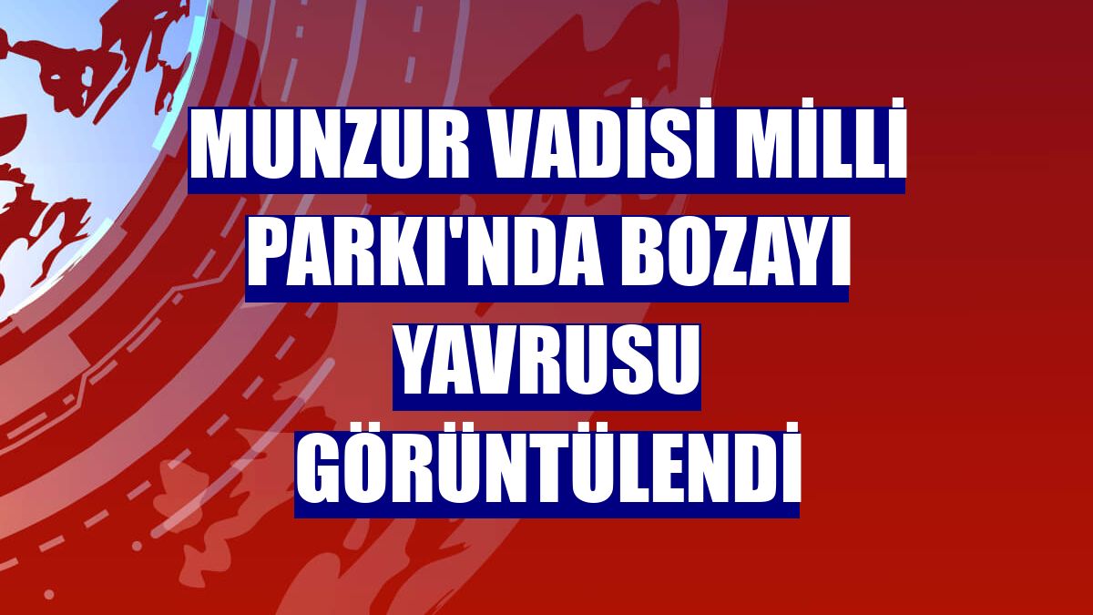 Munzur Vadisi Milli Parkı'nda bozayı yavrusu görüntülendi