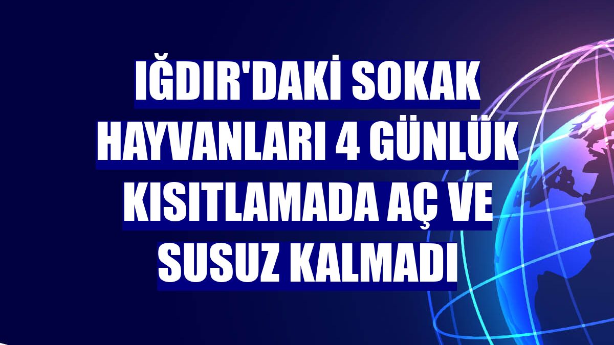 Iğdır'daki sokak hayvanları 4 günlük kısıtlamada aç ve susuz kalmadı