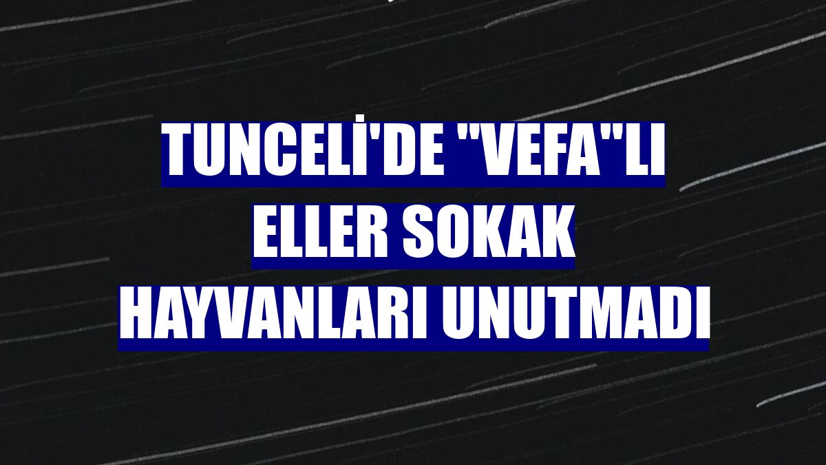 Tunceli'de "Vefa"lı eller sokak hayvanları unutmadı