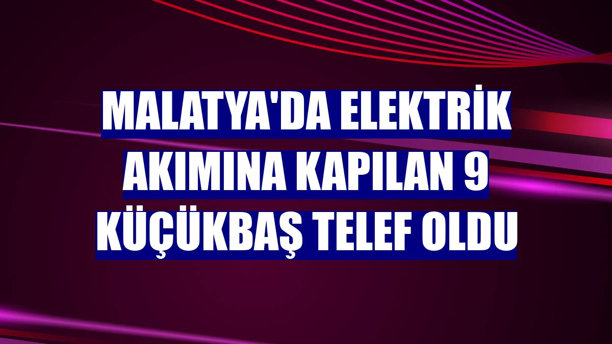 Malatya'da elektrik akımına kapılan 9 küçükbaş telef oldu