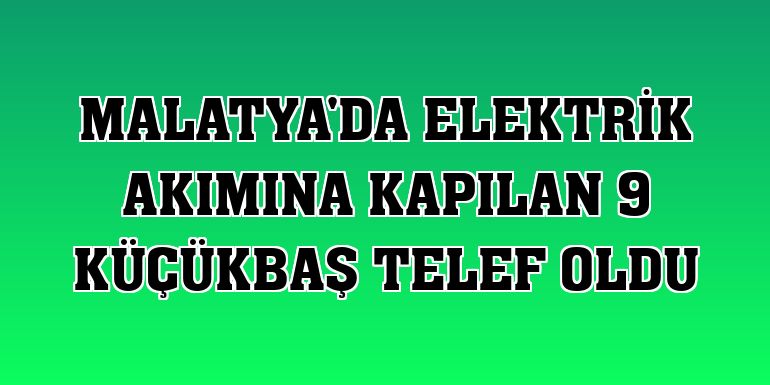 Malatya'da elektrik akımına kapılan 9 küçükbaş telef oldu