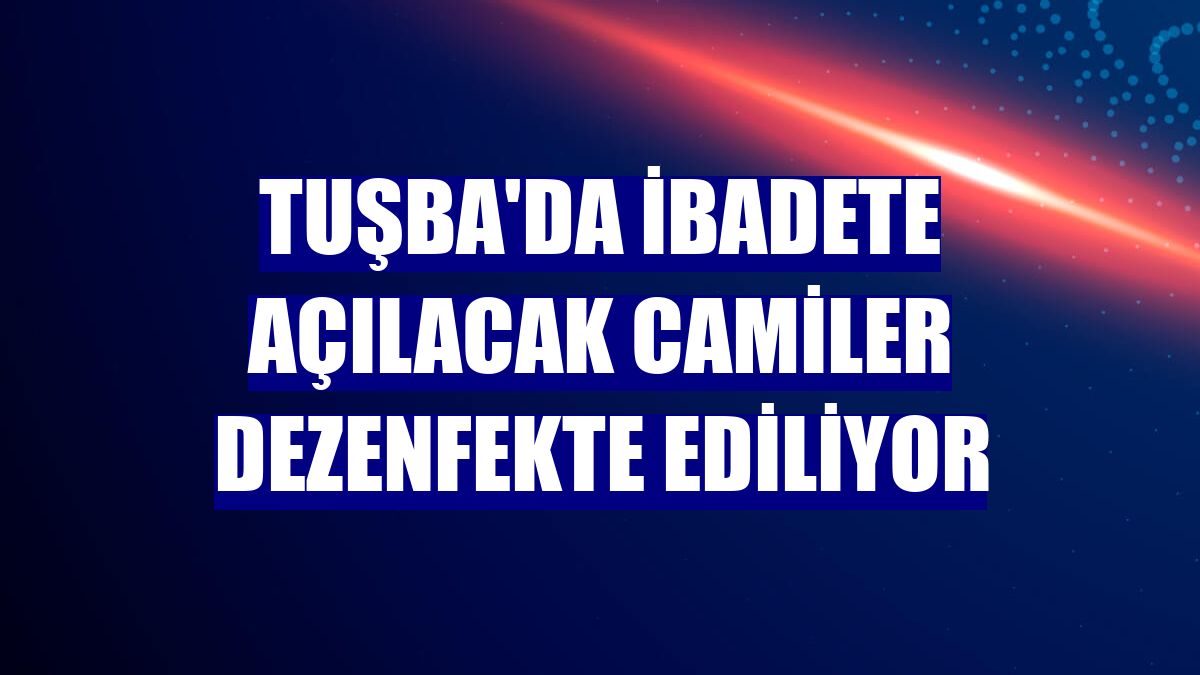 Tuşba'da ibadete açılacak camiler dezenfekte ediliyor