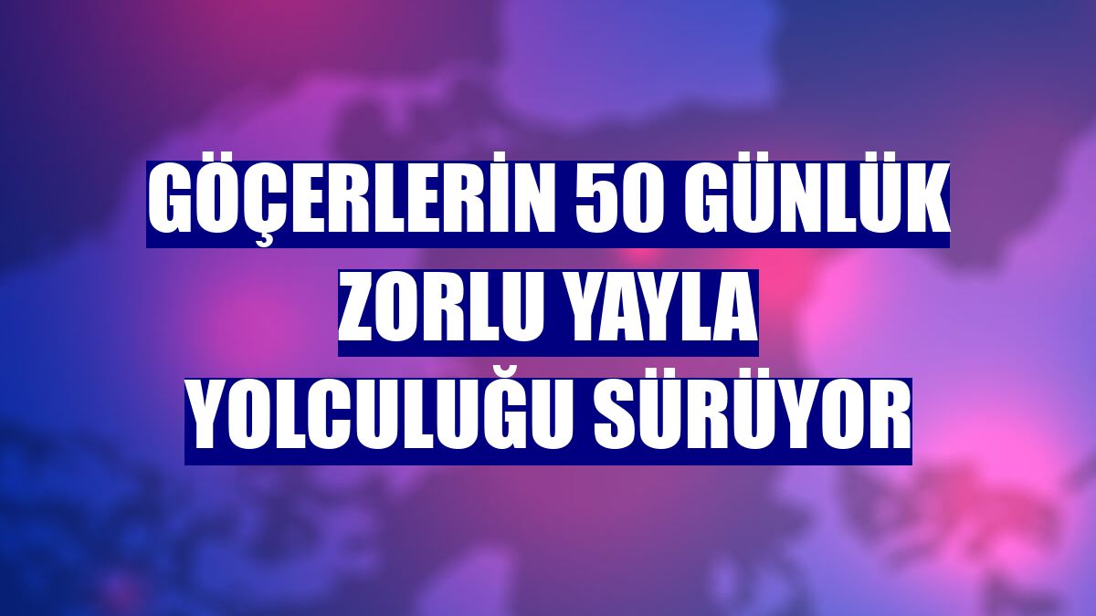 Göçerlerin 50 günlük zorlu yayla yolculuğu sürüyor