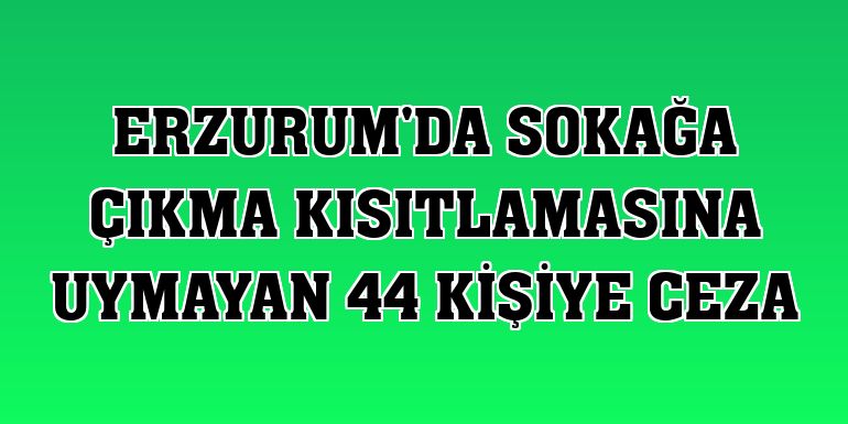 Erzurum'da sokağa çıkma kısıtlamasına uymayan 44 kişiye ceza