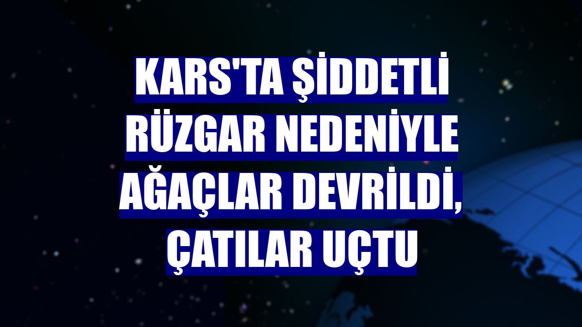 Kars'ta şiddetli rüzgar nedeniyle ağaçlar devrildi, çatılar uçtu