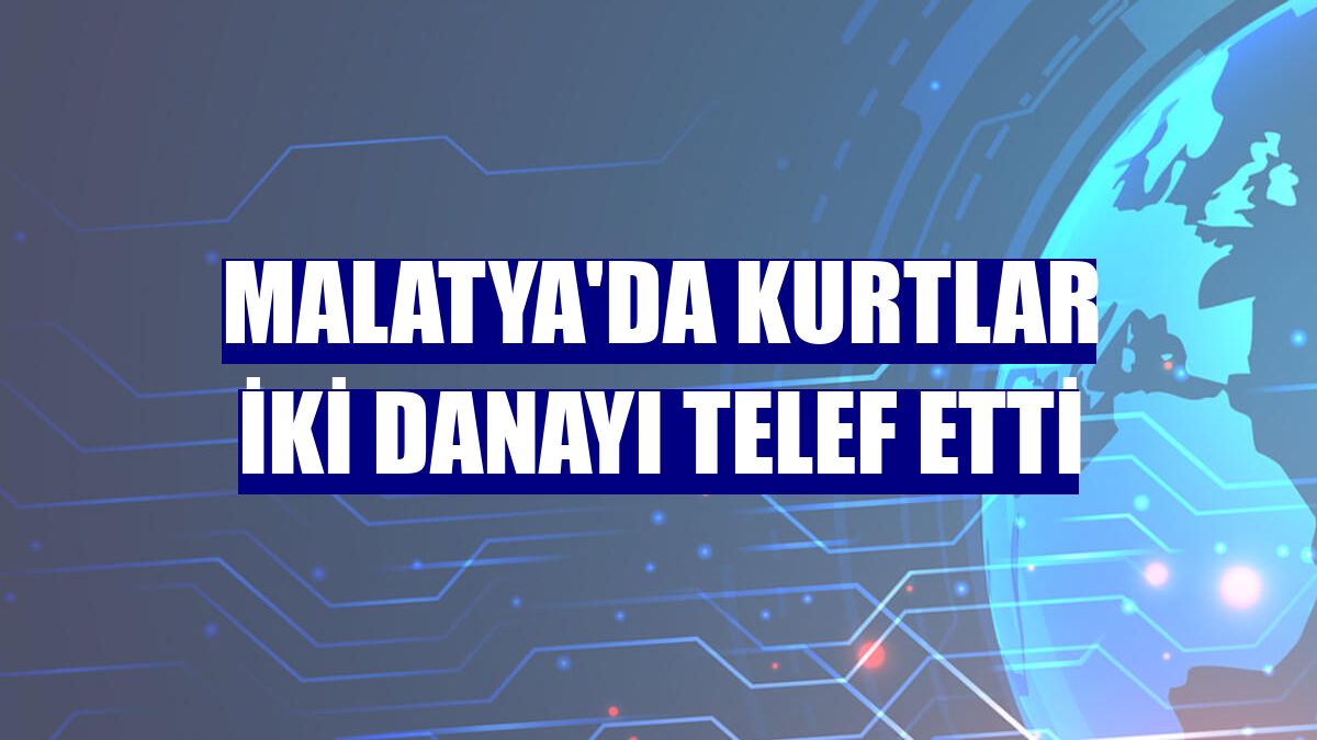Malatya'da kurtlar iki danayı telef etti