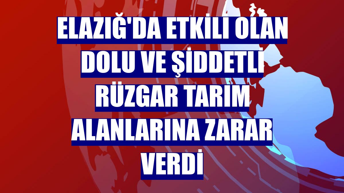 Elazığ'da etkili olan dolu ve şiddetli rüzgar tarım alanlarına zarar verdi