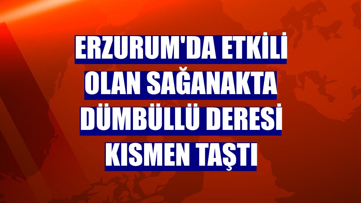 Erzurum'da etkili olan sağanakta Dümbüllü deresi kısmen taştı