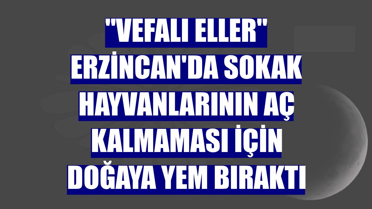 "Vefalı eller" Erzincan'da sokak hayvanlarının aç kalmaması için doğaya yem bıraktı