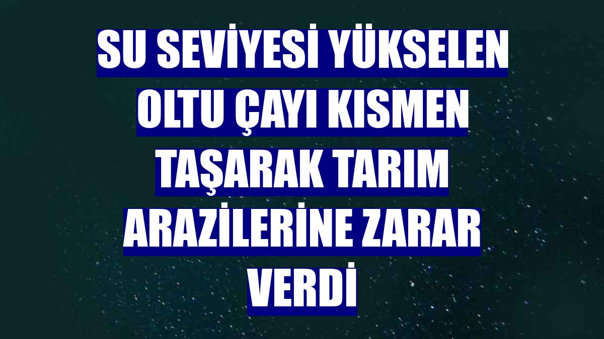 Su seviyesi yükselen Oltu çayı kısmen taşarak tarım arazilerine zarar verdi