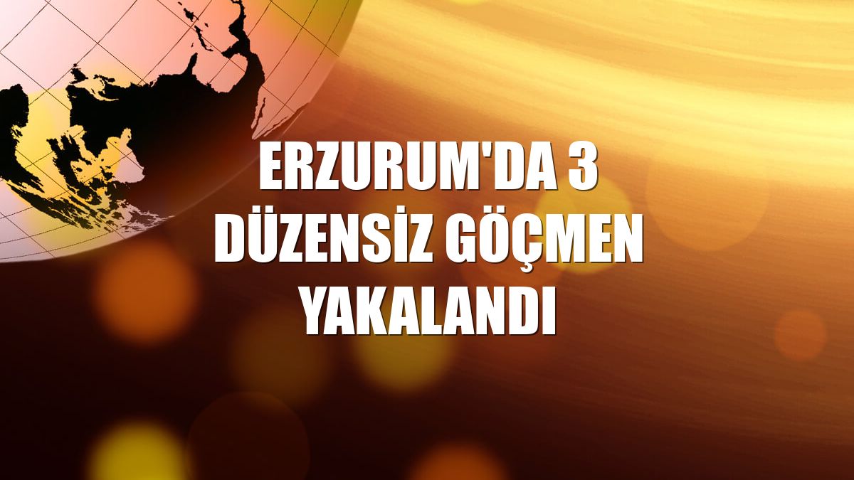 Erzurum'da 3 düzensiz göçmen yakalandı