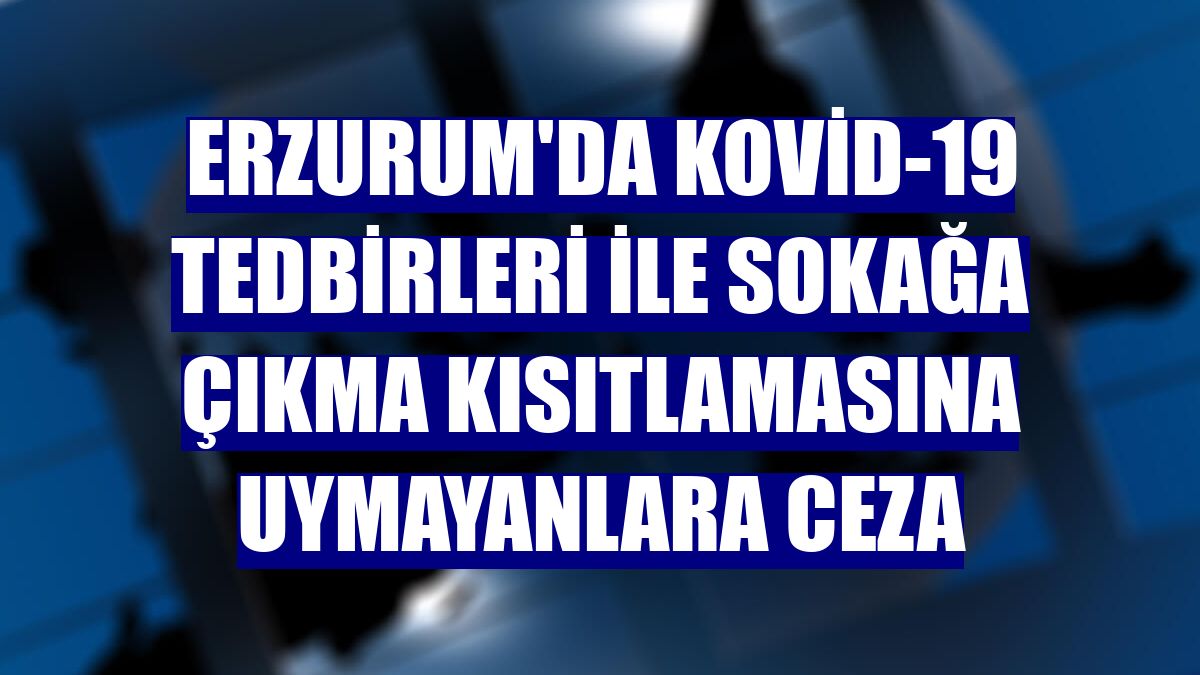 Erzurum'da Kovid-19 tedbirleri ile sokağa çıkma kısıtlamasına uymayanlara ceza