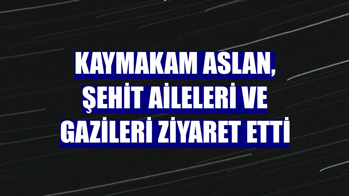 Kaymakam Aslan, şehit aileleri ve gazileri ziyaret etti