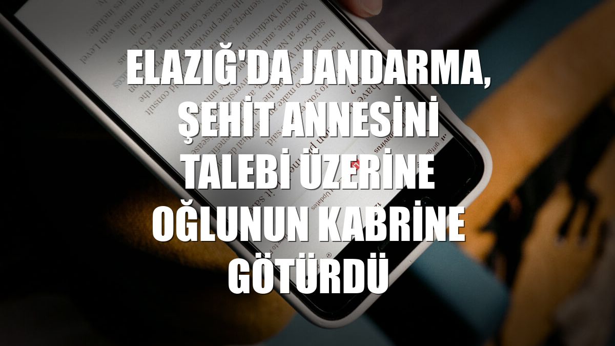 Elazığ'da jandarma, şehit annesini talebi üzerine oğlunun kabrine götürdü