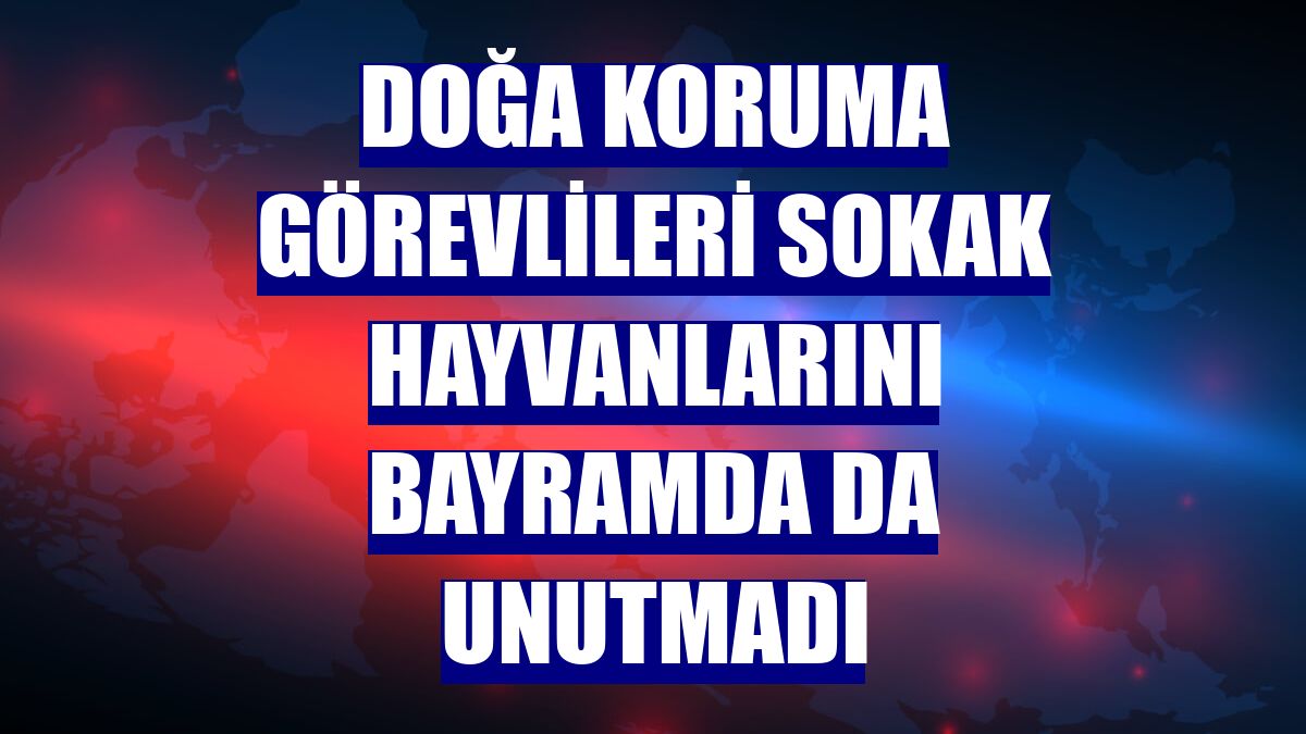 Doğa koruma görevlileri sokak hayvanlarını bayramda da unutmadı