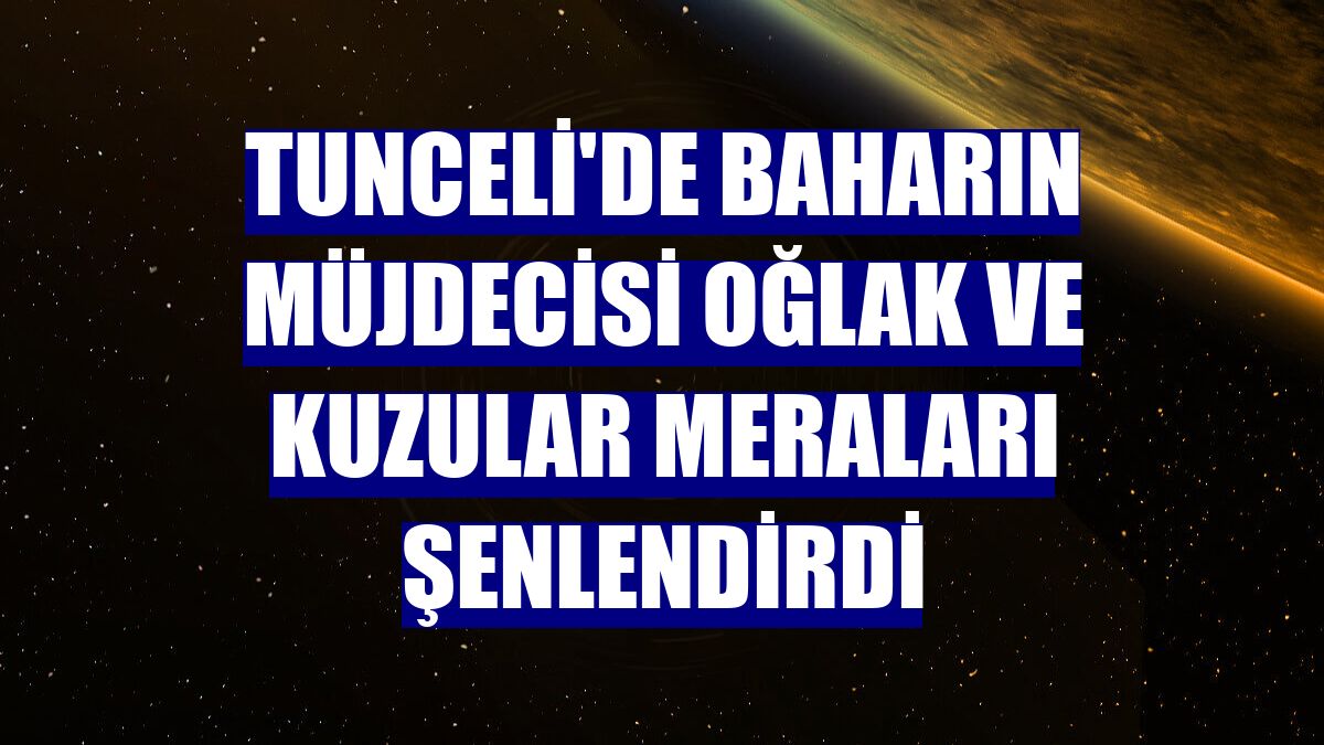 Tunceli'de baharın müjdecisi oğlak ve kuzular meraları şenlendirdi