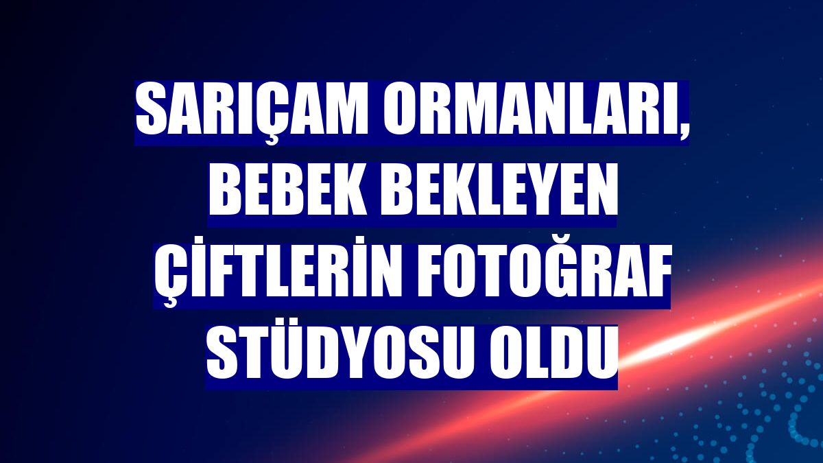 Sarıçam ormanları, bebek bekleyen çiftlerin fotoğraf stüdyosu oldu