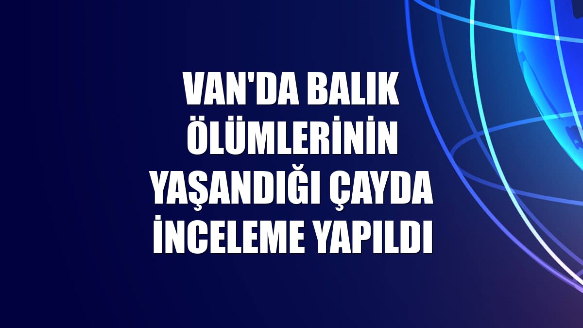 Van'da balık ölümlerinin yaşandığı çayda inceleme yapıldı