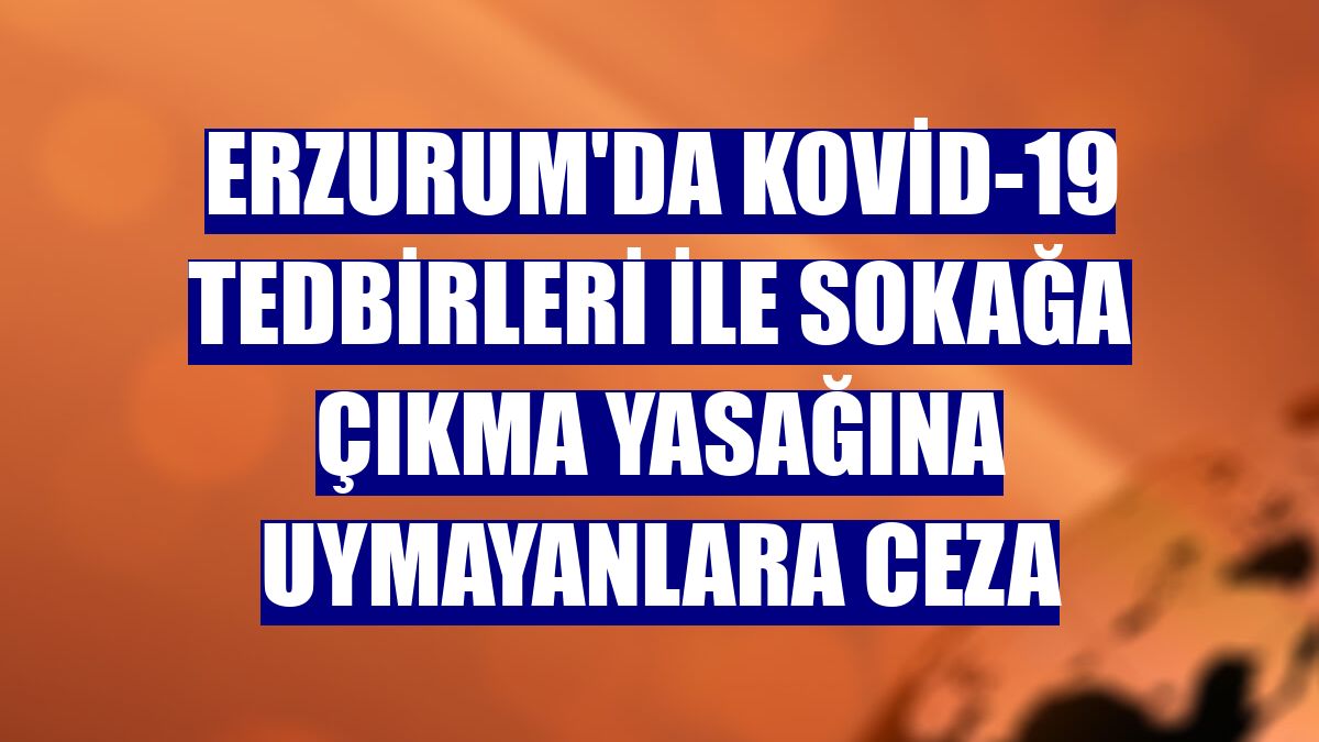 Erzurum'da Kovid-19 tedbirleri ile sokağa çıkma yasağına uymayanlara ceza