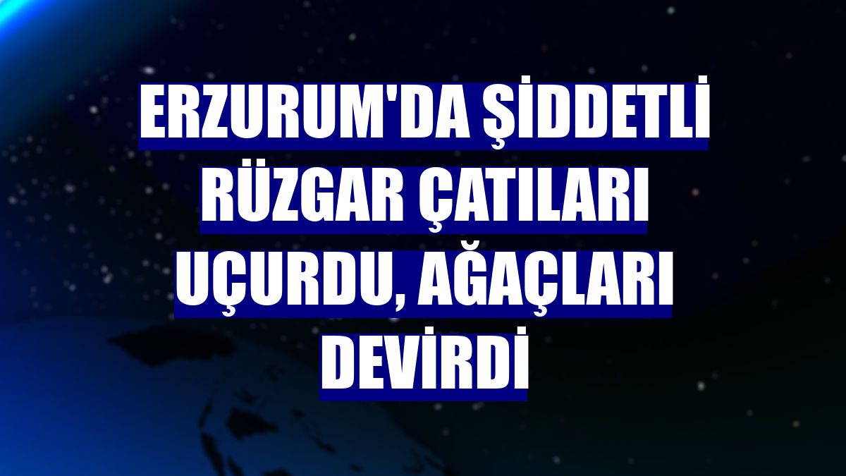 Erzurum'da şiddetli rüzgar çatıları uçurdu, ağaçları devirdi