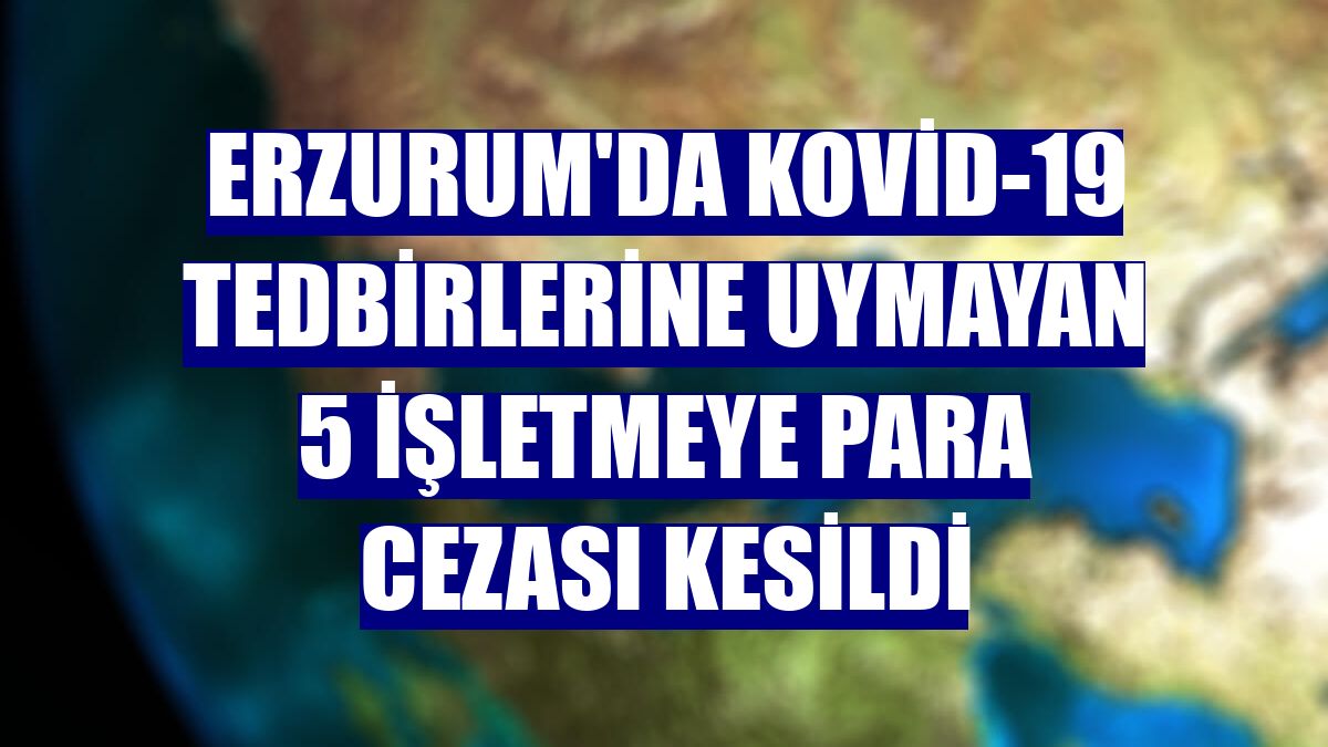 Erzurum'da Kovid-19 tedbirlerine uymayan 5 işletmeye para cezası kesildi