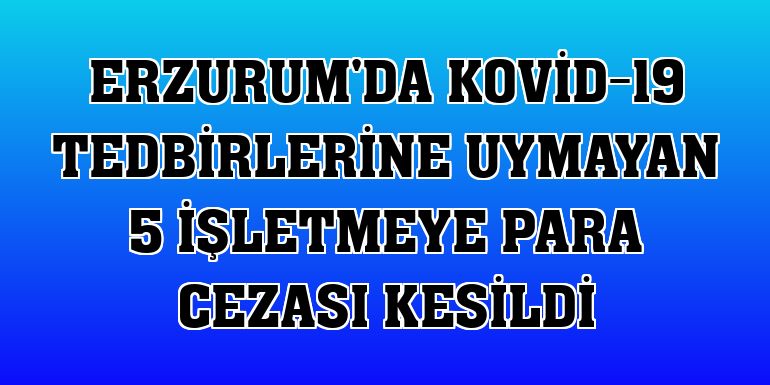 Erzurum'da Kovid-19 tedbirlerine uymayan 5 işletmeye para cezası kesildi