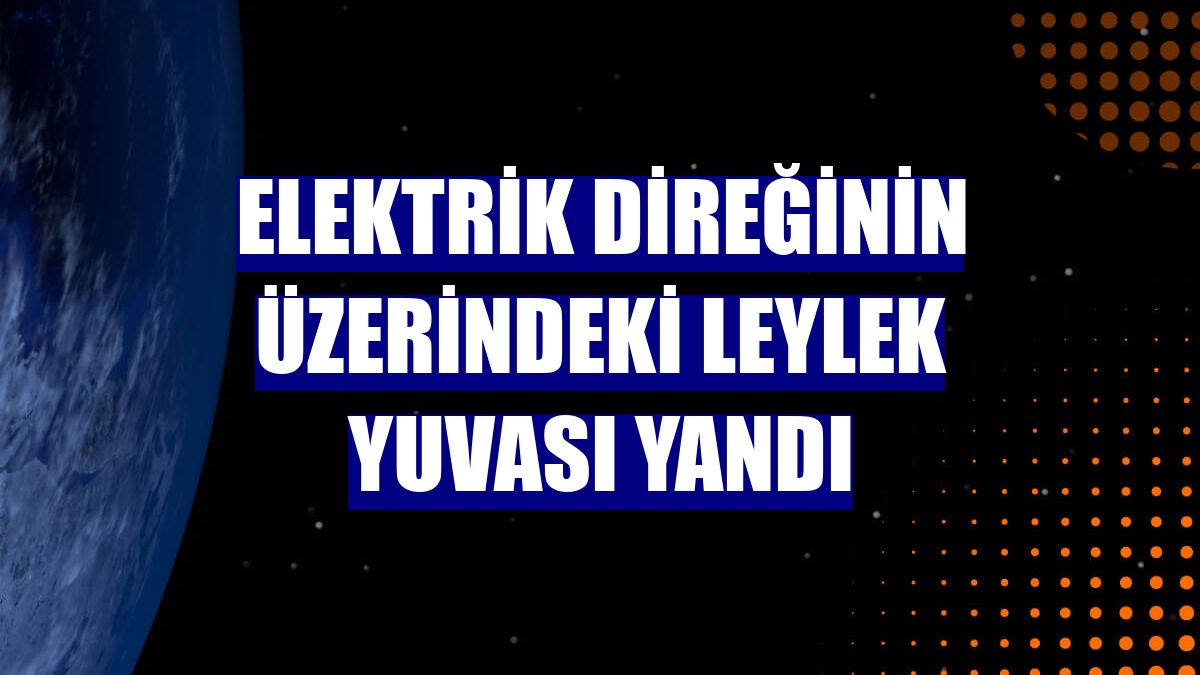 Elektrik direğinin üzerindeki leylek yuvası yandı