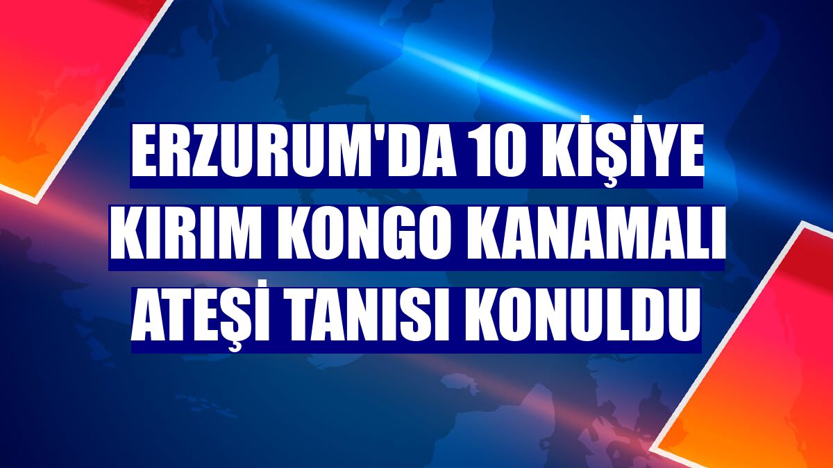Erzurum'da 10 kişiye Kırım Kongo Kanamalı Ateşi tanısı konuldu