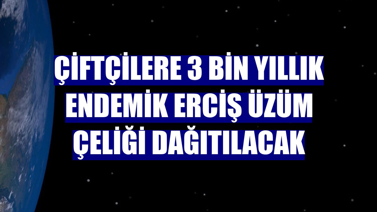 Çiftçilere 3 bin yıllık endemik Erciş üzüm çeliği dağıtılacak