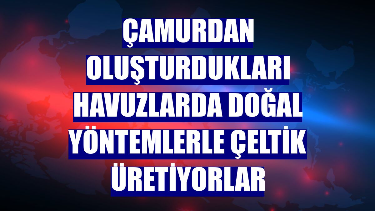 Çamurdan oluşturdukları havuzlarda doğal yöntemlerle çeltik üretiyorlar