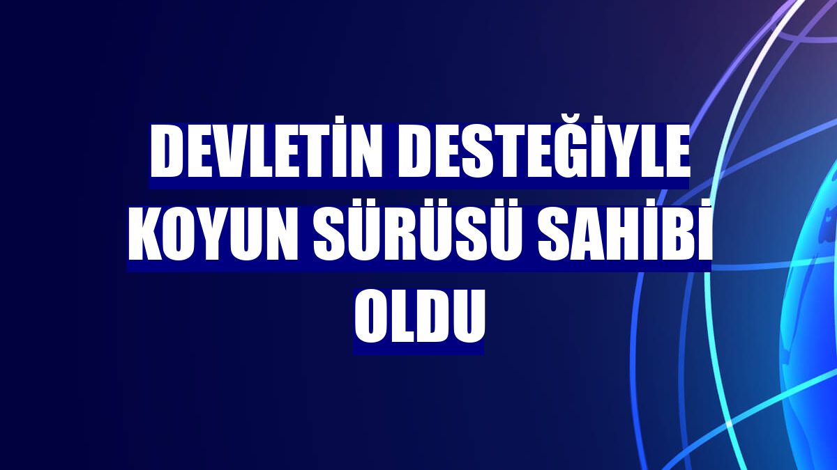 Devletin desteğiyle koyun sürüsü sahibi oldu