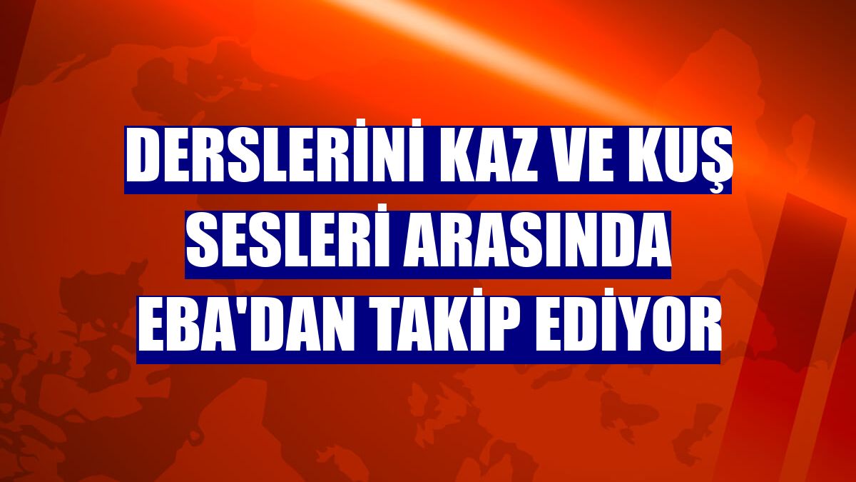 Derslerini kaz ve kuş sesleri arasında EBA'dan takip ediyor