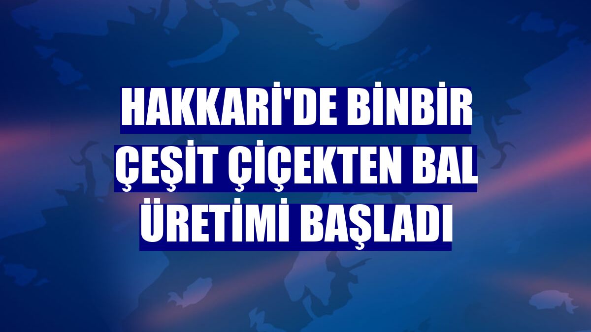 Hakkari'de binbir çeşit çiçekten bal üretimi başladı