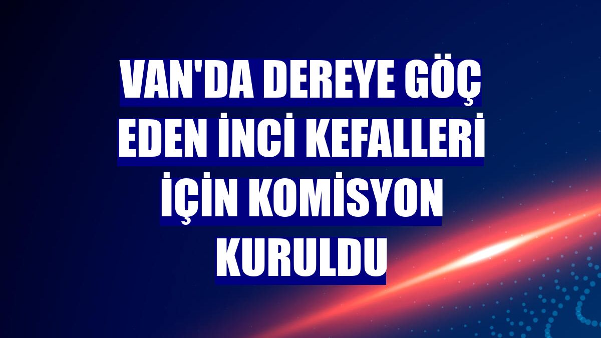 Van'da dereye göç eden inci kefalleri için komisyon kuruldu